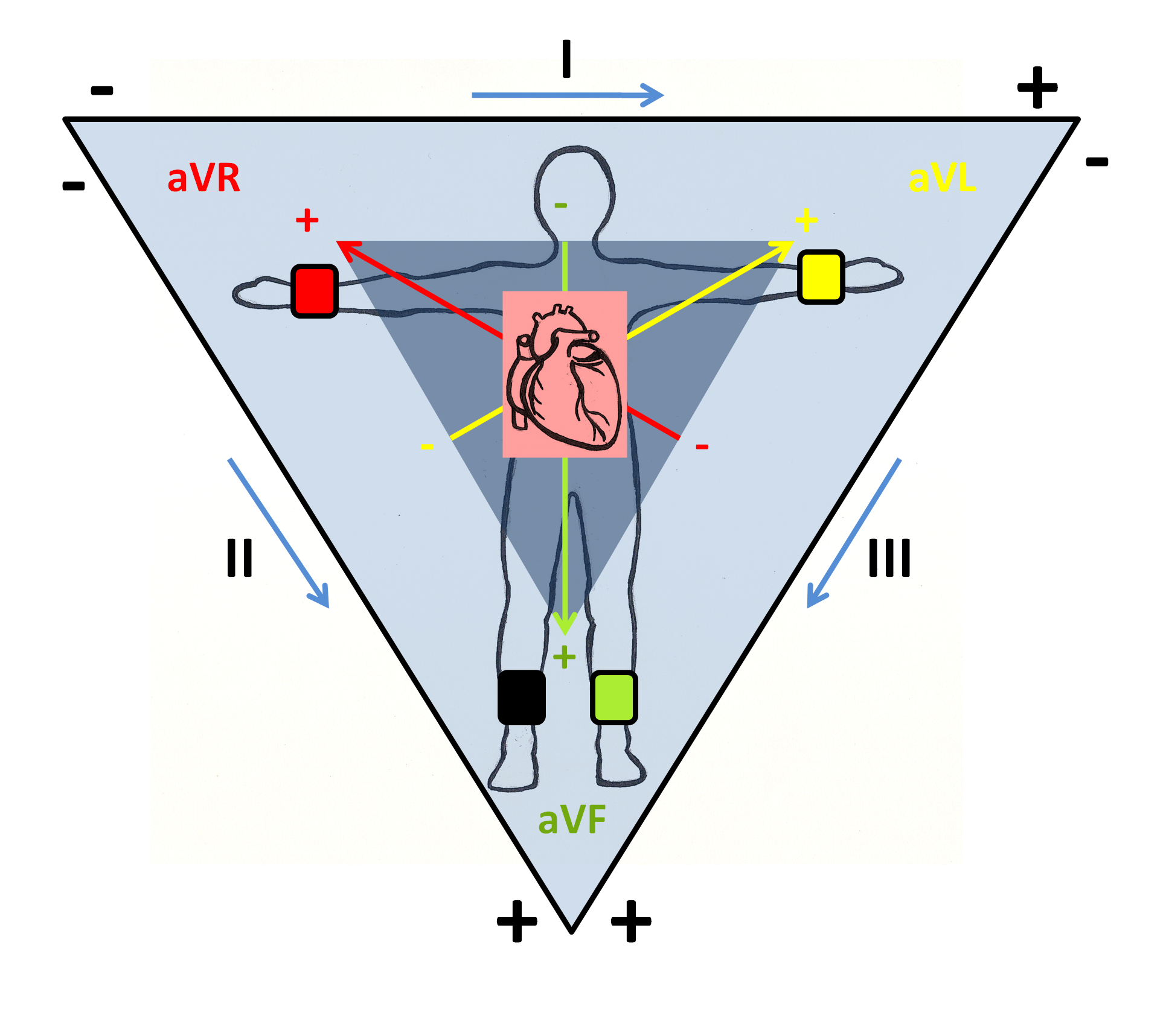 Эйнтховен экг. Треугольник Эйнтховена стандартные отведения. Теория Эйнтховена треугольник Эйнтховена. Отведения ЭКГ стандартные треугольник Эйнтховена. Треугольник Эйнтховена – оси отведения.
