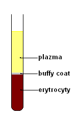 Hematokrit az olursa ne olur?