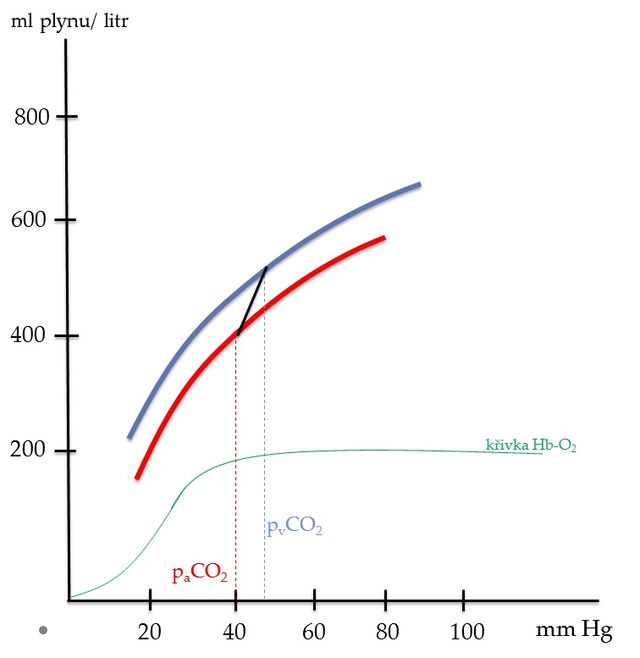 Které ionty vznikají při rozpouštění CO2 v krvi?