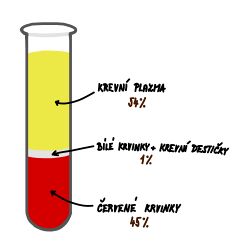 Schéma hematokritu.